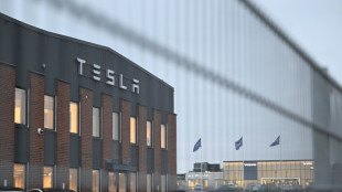 "Irre": Musk äußert sich zu Folgen des Streiks gegen Tesla in Schweden