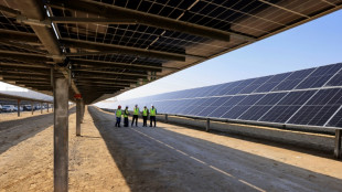 Pa&iacute;ses do Golfo apostam em hidrog&ecirc;nio verde como 'combust&iacute;vel do futuro'