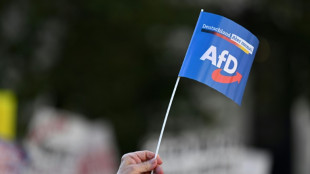 Ermittler durchsuchen Landesgeschäftsstelle der niedersächsischen AfD