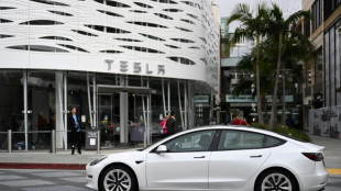 US transition to electric vehicles faces delays