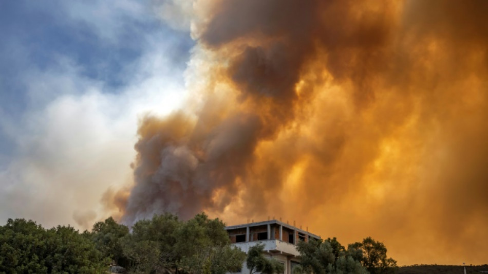 Violents feux de for&ecirc;t dans le nord du Maroc, 500 familles &eacute;vacu&eacute;es 