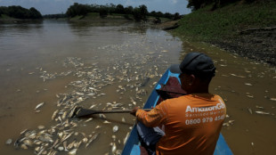 Schwere Dürre im Amazonas: Brasiliens Regierung kündigt Nothilfen an