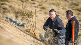 Una escuela en Irlanda para preservar la tradici&oacute;n de los techos de paja
