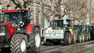 Las concesiones de la UE a sus agricultores para que apoyen el acuerdo con el Mercosur