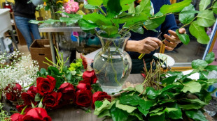 D&eacute;c&egrave;s d'une fillette li&eacute;e aux pesticides: la famille se pourvoit en cassation