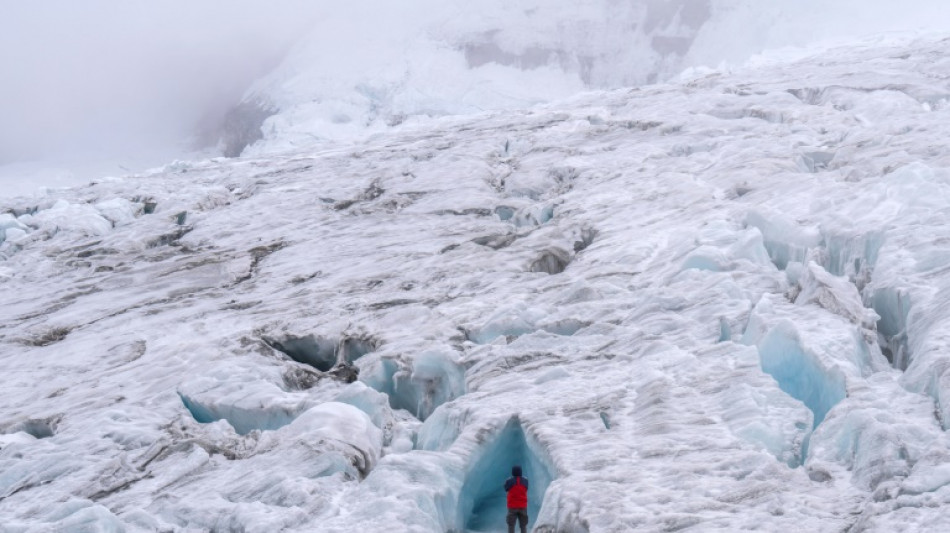Climate action could save half of world's vanishing glaciers, says study