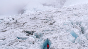 La acci&oacute;n clim&aacute;tica podr&iacute;a salvar la mitad de los glaciares en riesgo, seg&uacute;n un estudio