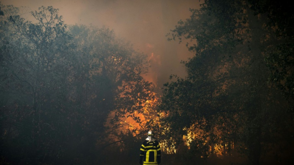 Incendie à Saumos en Gironde: feu 