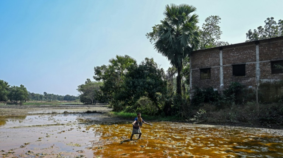 El auge de las bater&iacute;as provoca una epidemia de intoxicaci&oacute;n por plomo en Banglad&eacute;s