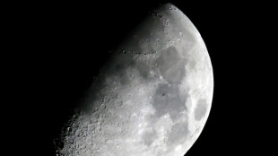 CSU-Politikerin B&auml;r w&uuml;nscht sich deutsche Astronauten auf dem Mond