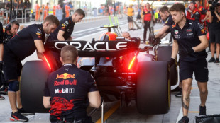 P&eacute;rez lidera los &uacute;ltimos entrenamientos libres antes de la clasificaci&oacute;n de Abu Dabi