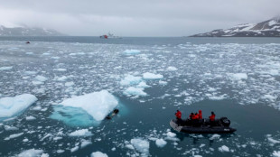 Los sonidos de la Antártida: desde "naves espaciales" hasta cantos de ballenas