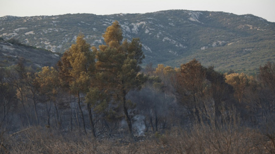 Apr&egrave;s l'incendie dans l'Aude, un chantier de plusieurs ann&eacute;es pour l'ONF