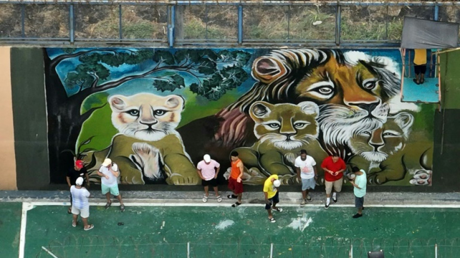 Tatuagens de animais: identidade e estigma sob a guerra do narcotr&aacute;fico no Equador