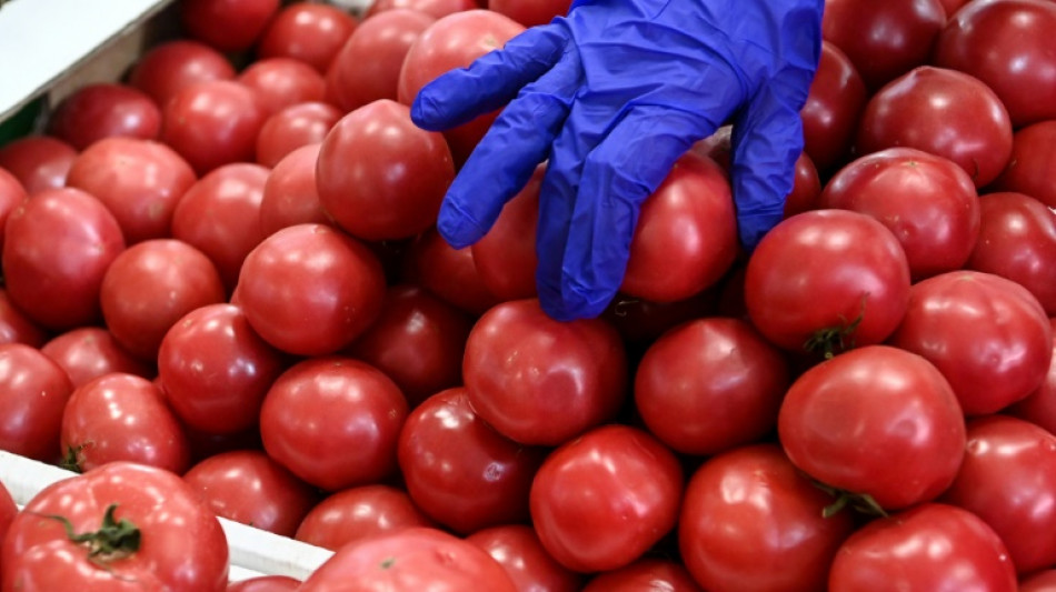 &iquest;M&aacute;s sanciones por la crisis de Ucrania para quebrar la "fortaleza rusa"?