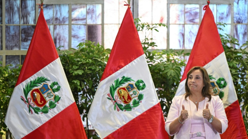 La ONU critica la ley de amnistía en Perú, un "retroceso" en la búsqueda de justicia