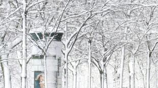 Starke Schneef&auml;lle und Lawinen in &Ouml;sterreich: F&uuml;nf Tote