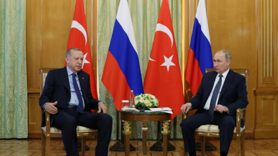 Putin spricht sich für stärkere wirtschaftliche Zusammenarbeit mit der Türkei aus