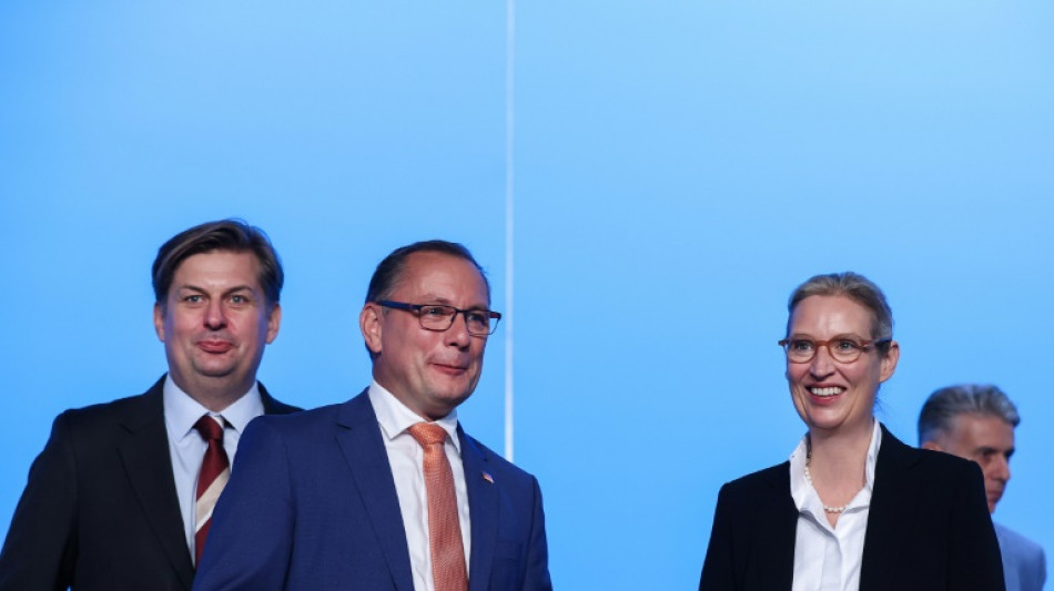 Weidel: AfD-Bundestagsfraktion f&auml;llt Entscheidung zu Krah am Dienstag