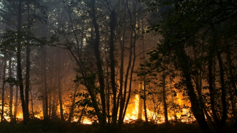 Feu "fix&eacute;" ou "ma&icirc;tris&eacute;"? Glossaire de la lutte contre les incendies