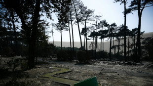 Espa&ntilde;a registra 500 muertes por ola de calor que aviv&oacute; incendios en Europa occidental