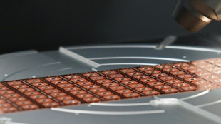 India ready to rev up chipmaking, industry pioneer says