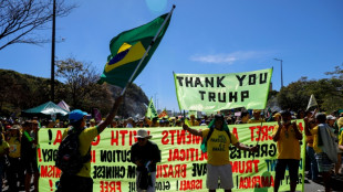 Bolsonaro backers rally to praise Trump for Brazil pressure