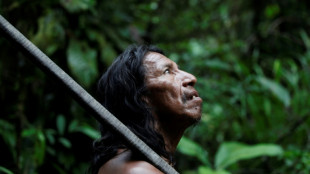 'A floresta é minha casa', clama indígena contra a exploração de petroleiras no Equador