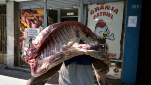 Argentina anuncia un acuerdo con Jap&oacute;n para abrir las exportaciones de carne vacuna
