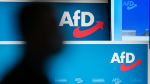 AfD zu Bundesparteitag in Magdeburg zusammengekommen