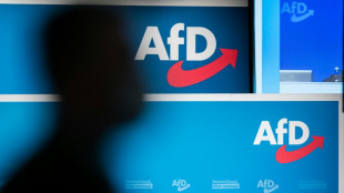Bericht: Verfassungsschutz erstellt neues Gutachten zur AfD