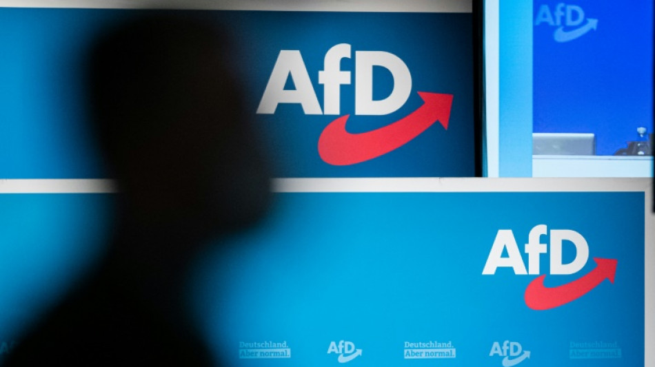 Weidel und Chrupalla wollen als neue AfD-Doppelspitze Krise der Partei überwinden