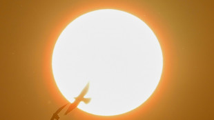 Scheibe eingeschlagen: Polizisten befreien Kind aus &uuml;berhitztem Auto in Kleve