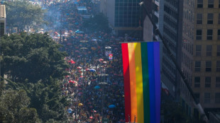 Parada LGBT+ veste São Paulo de verde e amarelo