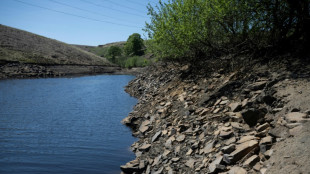Inglaterra vive su primavera m&aacute;s seca desde 1956