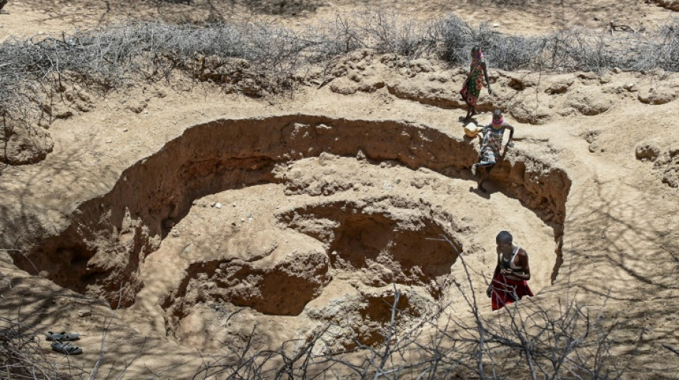 Studie: Dürre am Horn von Afrika gäbe es ohne menschengemachten Klimawandel nicht