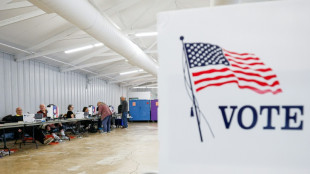 A l'approche des &eacute;lections de mi-mandat am&eacute;ricaines, les sites de d&eacute;sinformation prolif&egrave;rent