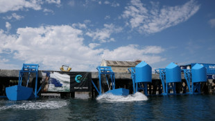 Produire de l'&eacute;lectricit&eacute; gr&acirc;ce aux vagues, un r&ecirc;ve qui devient r&eacute;alit&eacute; &agrave; Los Angeles