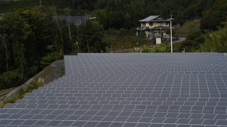 Jap&oacute;n quiere que las renovables sean su principal fuente de energ&iacute;a para 2040