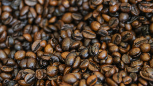 Fao celebra prima Giornata Internazionale del Caffè, un mercato da 34 miliardi dollari