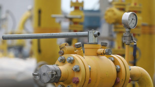 Il gas in crescita (+3%) a 68 euro al Megawattora