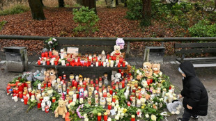 Verd&auml;chtiger von Aschaffenburg in die Psychatrie eingewiesen