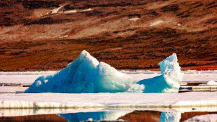 Studie: Temperatur in Arktis steigt vier Mal so schnell wie im globalen Schnitt