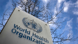 Accord reached 'in principle' over tackling future pandemics: negotiating body