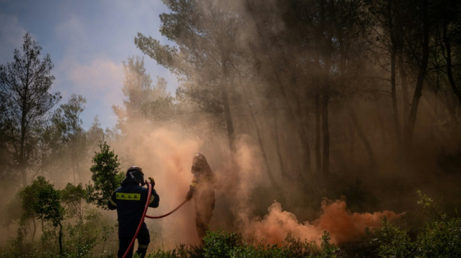 Sur les hauteurs d'Ath&egrave;nes, les pompiers s'entra&icirc;nent face au risque de nouveaux incendies