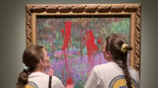 Su&egrave;de: des militantes &eacute;cologistes badigeonnent de peinture un tableau de Monet