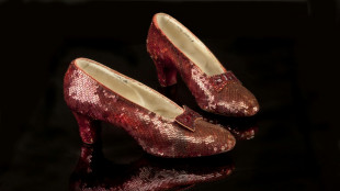 Homem vira r&eacute;u nos EUA por roubo de sapatos de hero&iacute;na de 'O M&aacute;gico de Oz'