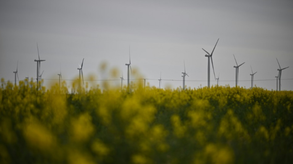 Pflicht zu Bürgerbeteiligung an Windparks in Mecklenburg-Vorpommern verfassungsgemäß