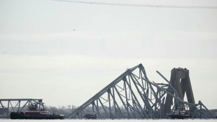 Riesige Autobahnbrücke in Baltimore von Schiff gerammt und eingestürzt