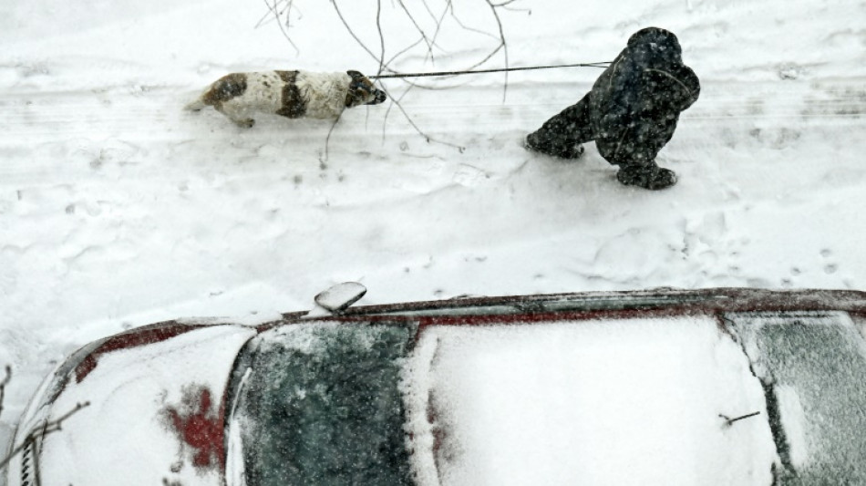 Nevadas r&eacute;cord en plena primavera en Mosc&uacute;